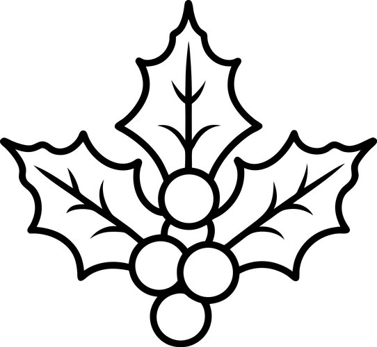 Holly leaves and berries line art Vector Image