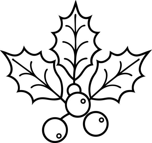 Simple holly leaves and berries line art Vector Image