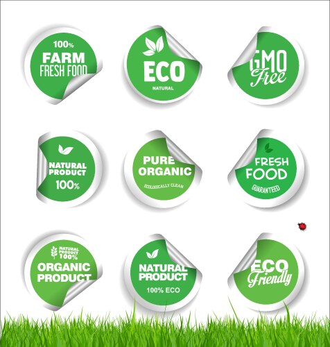 Set organic fresh natural and tasty food labels vector image