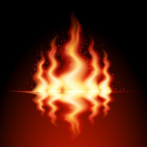 Burning fire flame Royalty Free Vector Image - VectorStock