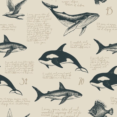 Orca whale seamless pattern cartoon style Vector Image
