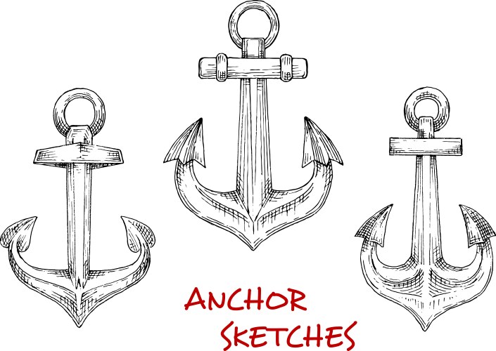 vintage heraldic nautical anchors sketches vector image