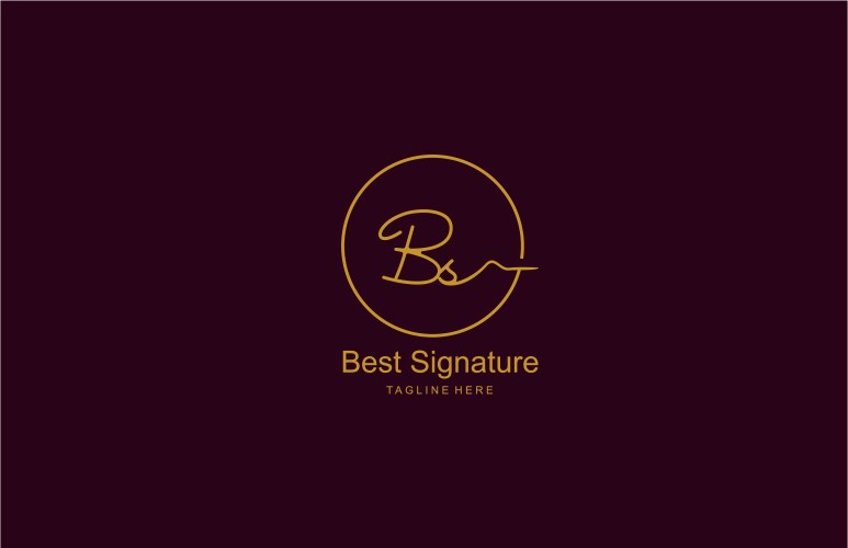 Circle calligraphy signature letter bs logotype Vector Image