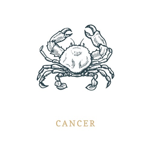 Cancer Zodiac Crab Engraving Vector Image