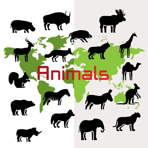 Classification of animals reptiles amphibians Vector Image