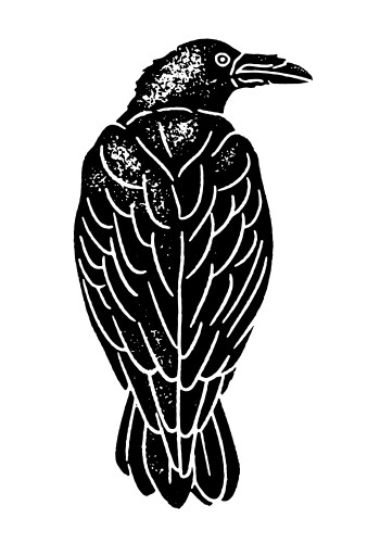 Raven Texture Vector Images (over 830)