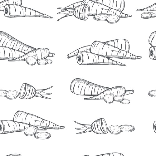 Pattern with sketch parsnip vector image