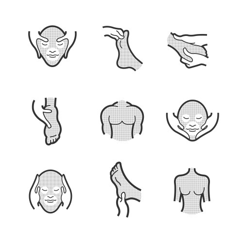 set of alternative medicine massage icons vector image