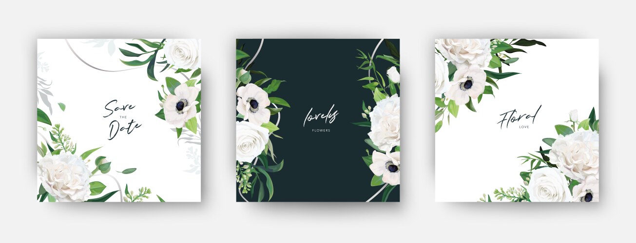 stylish card set ivory white garden roses vector