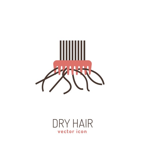 dry hair icon vector image