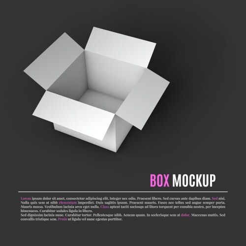 Open box mockup template top view Royalty Free Vector Image