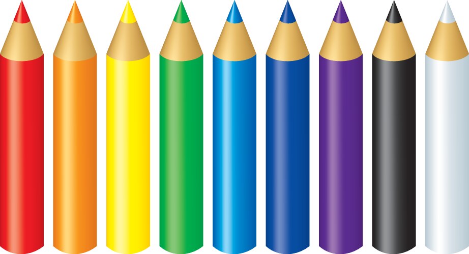 color pencils vector