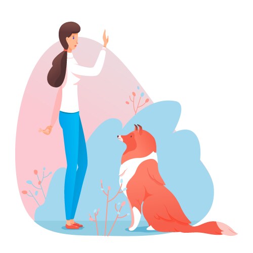 Woman pet owner trainer give command dog to sit Vector Image