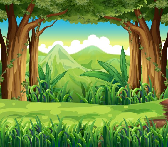 green forest vector