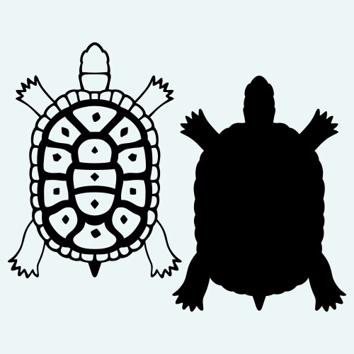 Turtle and tortoise animal silhouettes Royalty Free Vector