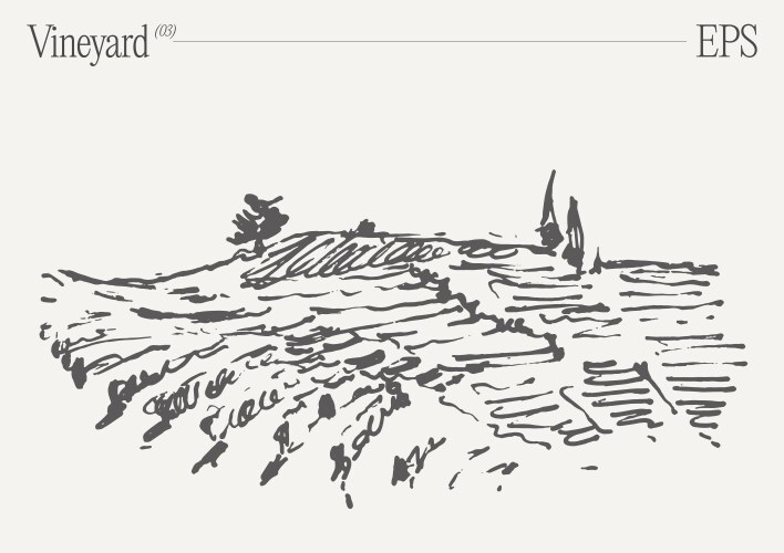 Vintage Vineyard Landscape Vector Image