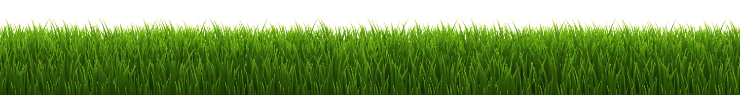 Grass border set isolated white background Vector Image