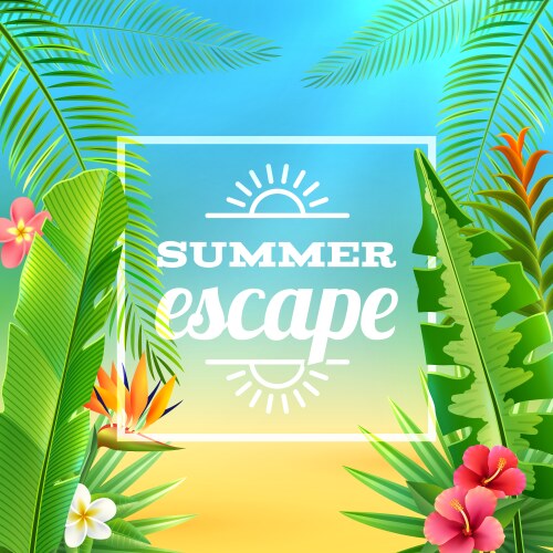 Summer tropical background with exotic palm Vector Image