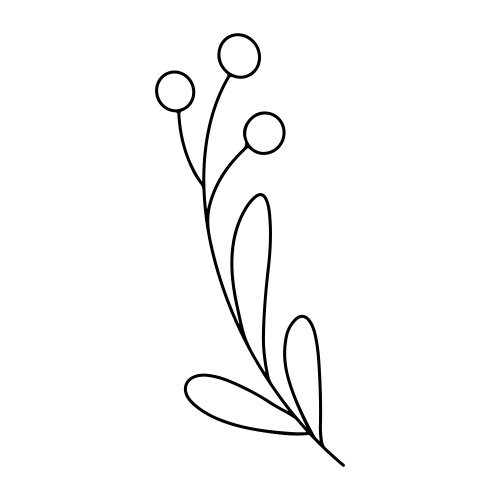 Hand drawn minimalist branch with leaves Vector Image