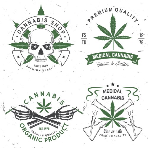 Set medical cannabis badge label with skull Vector Image