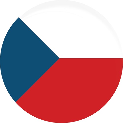 Czech Flag Icon Vector Image