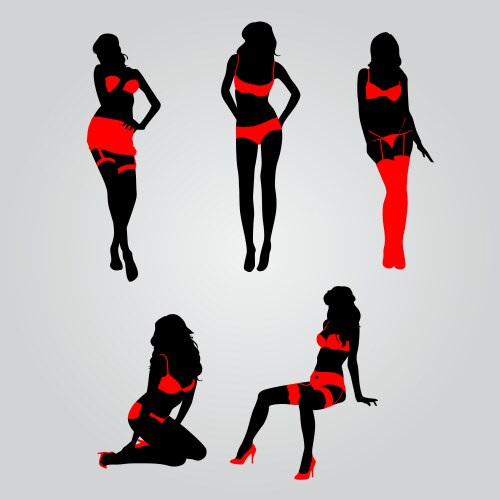 sexy lingerie vector image vector image