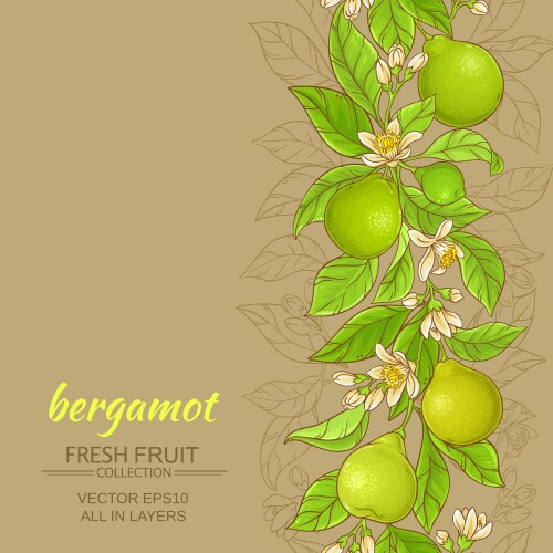 Bergamot frame Royalty Free Vector Image - VectorStock