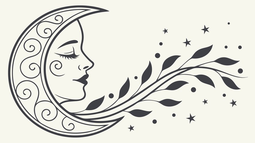 Crescent moon with floral vines natural elegance Vector Image