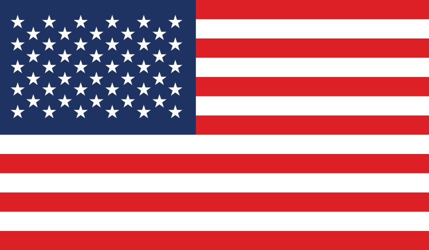 United States Flag Vector Image