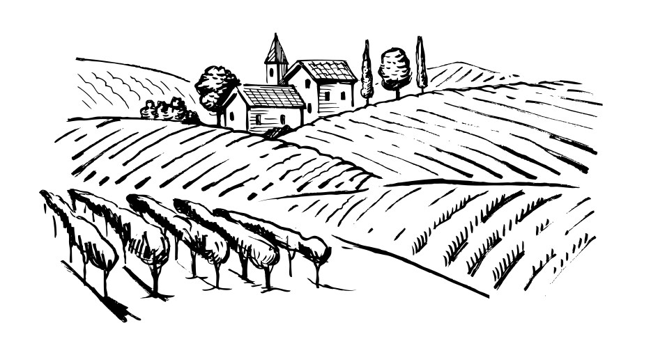 Vintage Wine Vineyard Vector Image