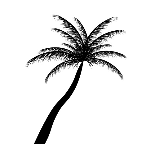 Palm Tree Silhouette Vector Image