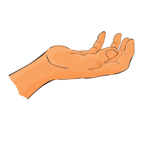 Hand draw sketch 6 gesture holding picking Vector Image