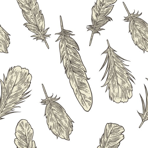 Feathers Vector Images (over 270,000)