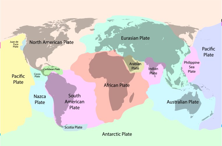 tectonic plate earth map continental ocean vector image