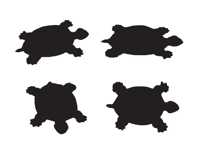 Set of turtle and tortoise silhouette Royalty Free Vector