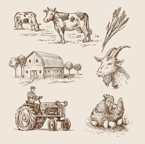 Village and landscape Vector Image