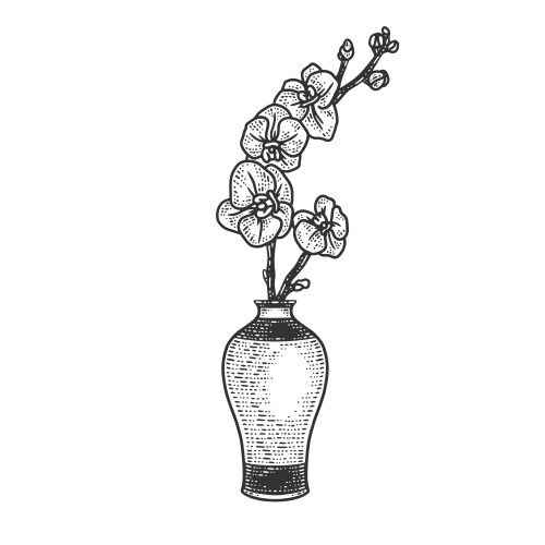 Orchid in vase sketch Vector Image