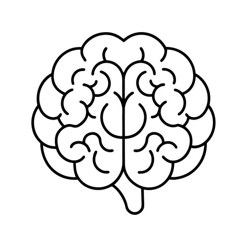 Continuous Line Art Brain Vector Image