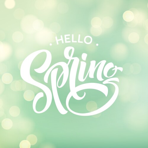 Hello spring text isolated sunburst background Vector Image