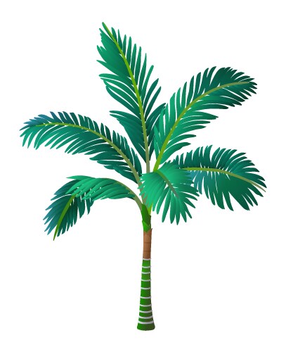 Palm tree Royalty Free Vector Image - VectorStock