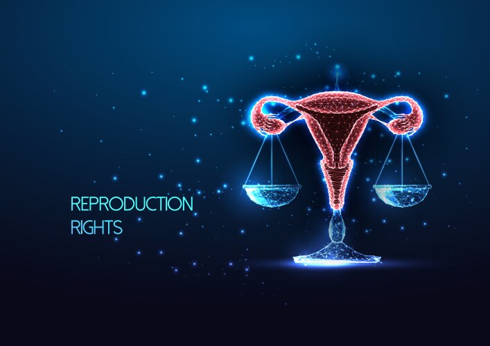 reproduction rights abortion law concept vector image