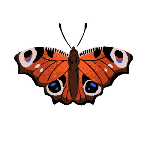 aglais io european peacock butterfly patterned vector