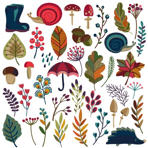 Autumn Leaf & Berry Set Vector Image