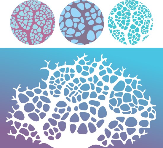 Coral logo Royalty Free Vector Image - VectorStock