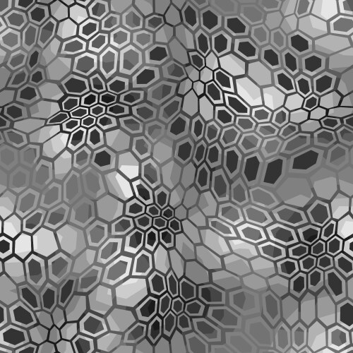 hexagonal camouflage seamless pattern vector image