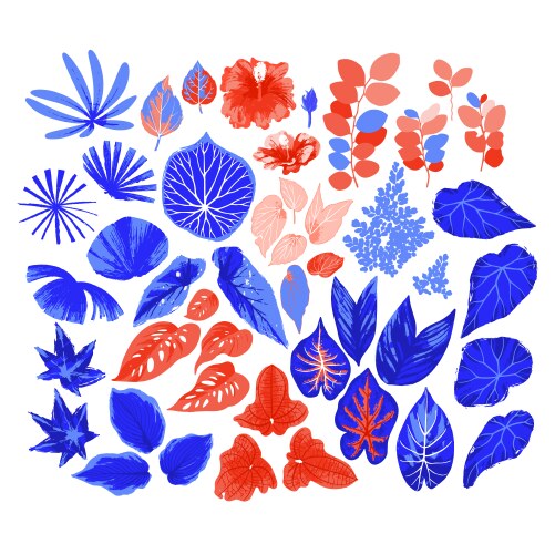 Collection of different exotic leaves drawn vector image