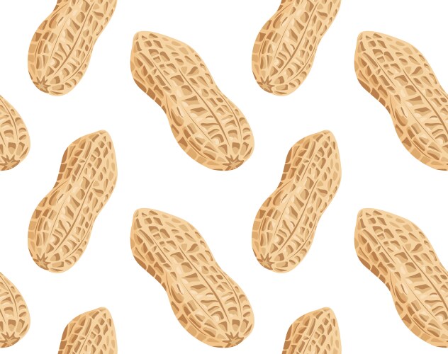 Peanut kernels in the shell from different angles vector image