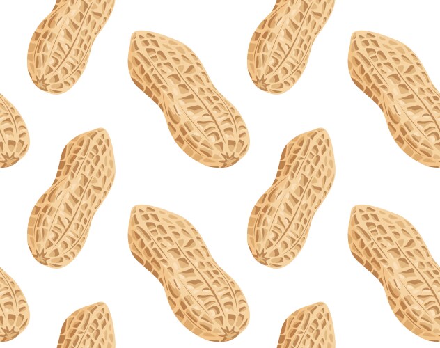 Peanut kernels in the shell from different angles vector image