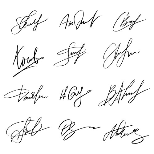 Handwriting autograph set personal fictitious vector image