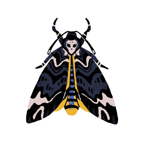 acherontia atropos african death head hawkmoth vector image